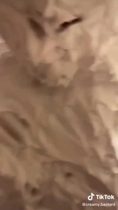 &ccedil;r&ecirc;&aring;m&yuml;