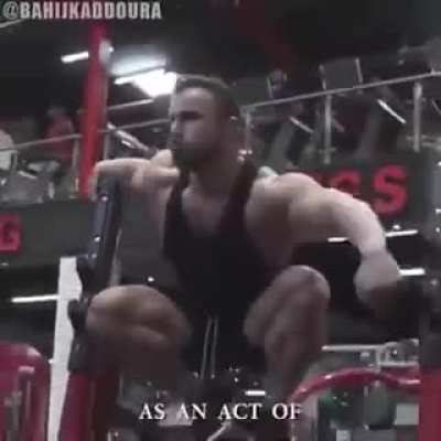 The gorilla's natural habitat