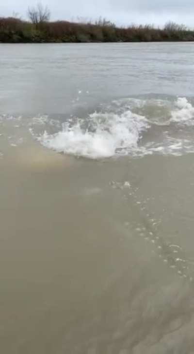 Dark and dusty is the water...