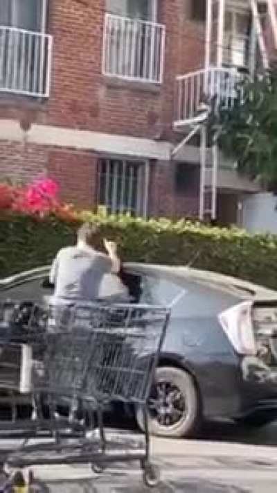 Best security guard ever (wait for it)