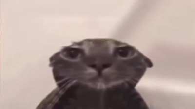 Air