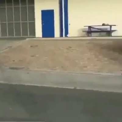 Nice stunt bro