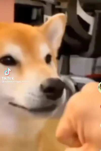 10/10 acting