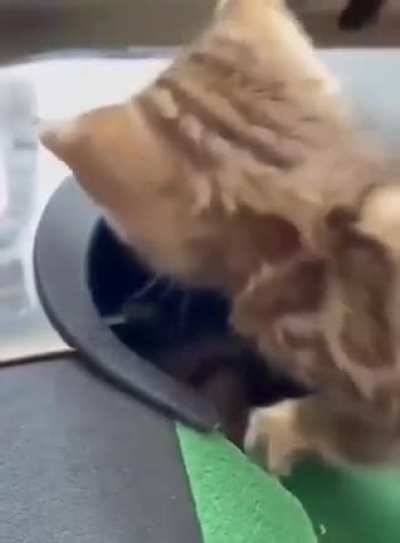 Are you sure it went there?