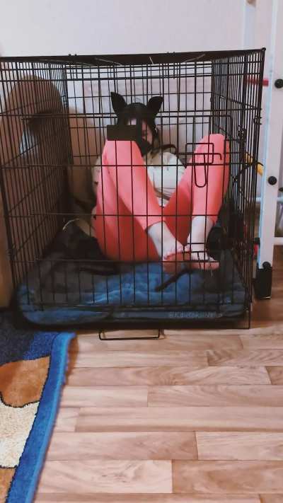 Opening the cage with my feet wasn&rsquo;t the hard part. Staying on my feet? Not so much [OC]