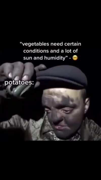 rule