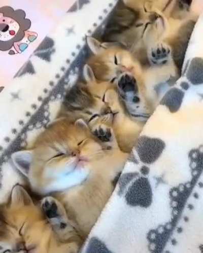 Немного милоты