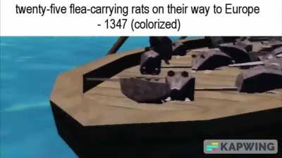 Free R A T
