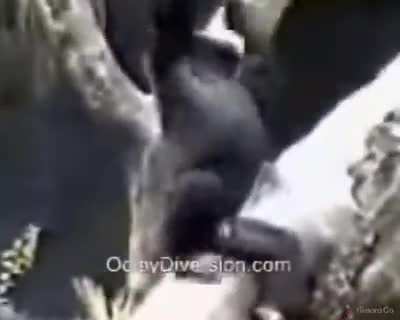 2 minutos de vídeos chistosos 2007.