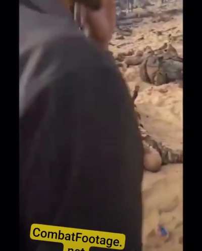 Wagner on vacation