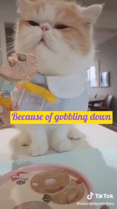 A little bit of asmr for you