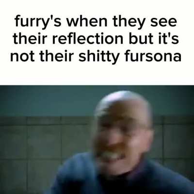 furry's when they see their reflection but it's not their shitty fursona