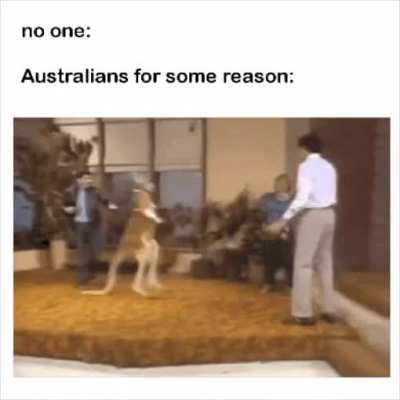 What is it with australians and kangaroos??