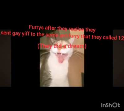 furry epi grindset