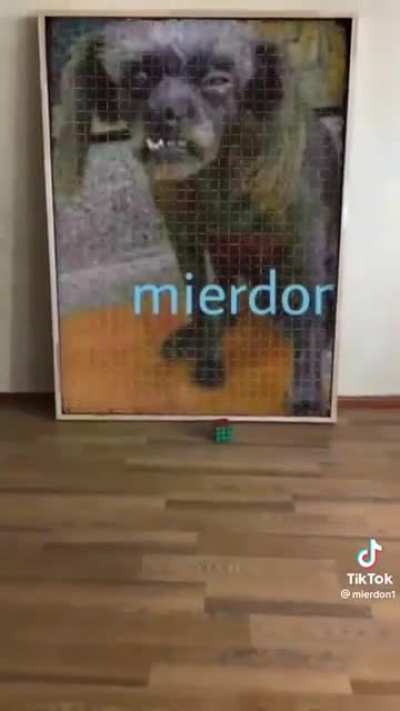 mierdon