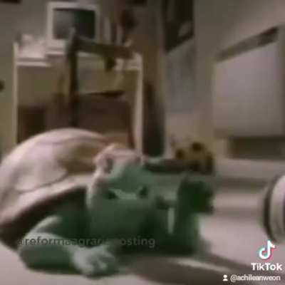 T&iacute;pico wn
