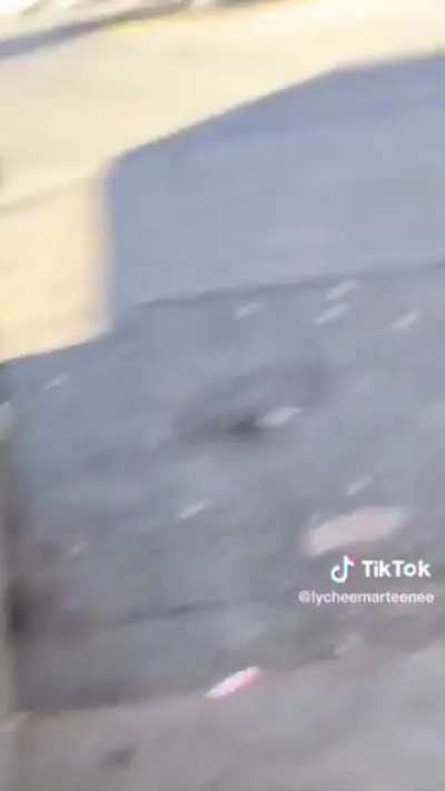 black woman falsely accuses Asian woman of being racist while screaming at her to “go eat a dog with rice”