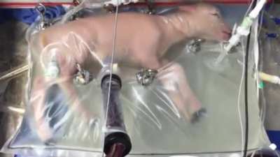 It’s cool in a scientific way... yet beyond oddly terrifying sliding into f*#king terrifying on many levels