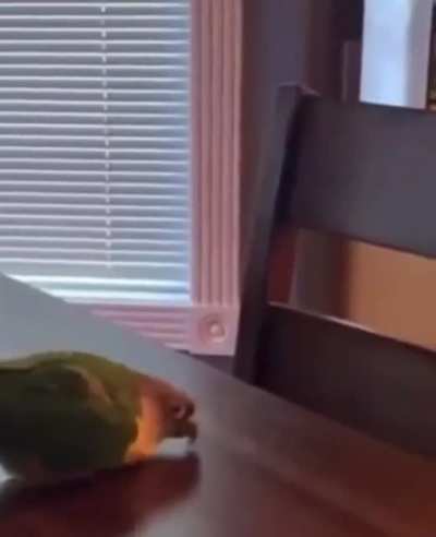 Tap tap tap tap tap tap tap