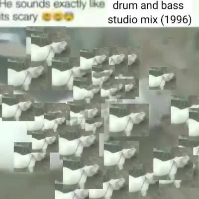 rule