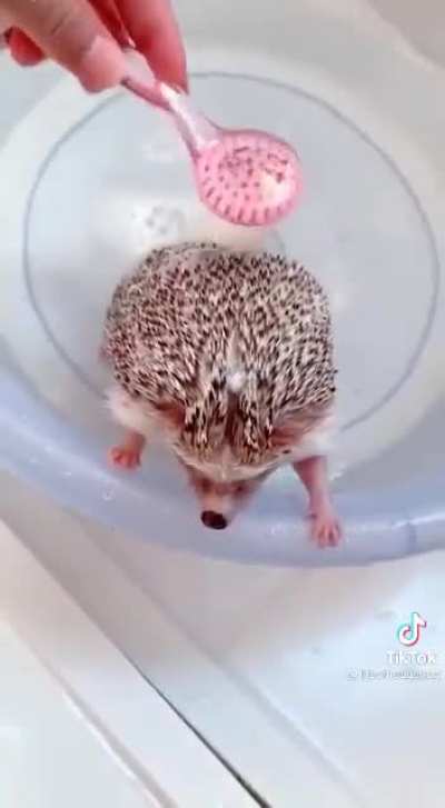 Bath time ☺️