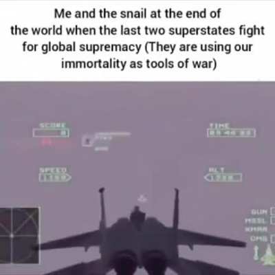 1984 snail