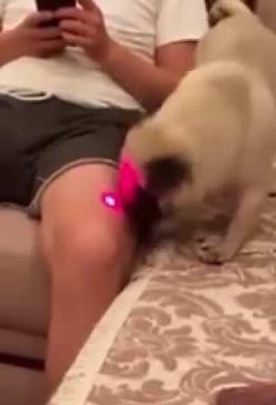 The pain we were about to hear in his scream&hellip;