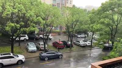 Rain in Shanghai