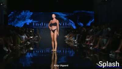 Antje Utgaard Indigo Wild Miami 2021-2022