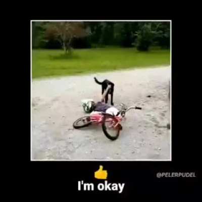 His Ok👍