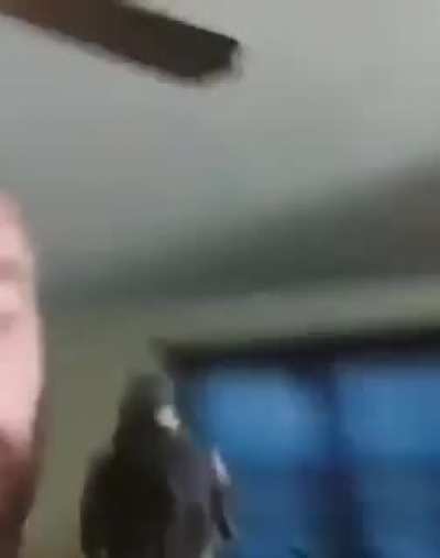 tucano foda
