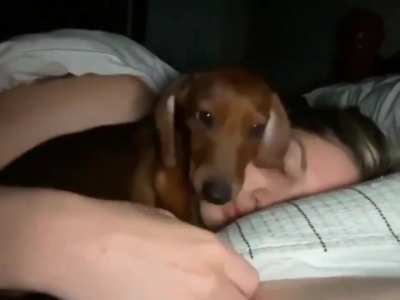 He&rsquo;s absolutely adorable.
