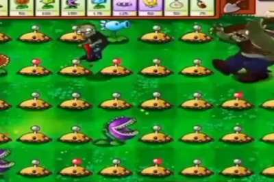 moldy pvz