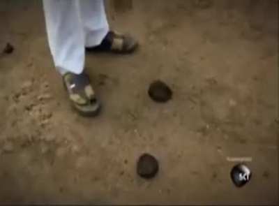 Cow dung soap and toothpaste 