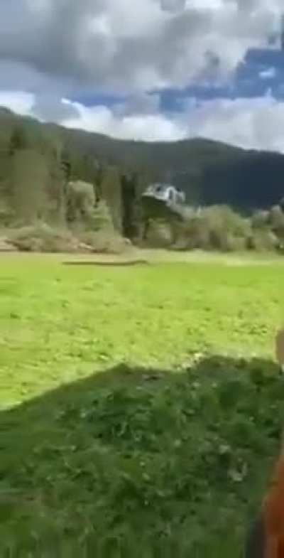 Had to hurt
