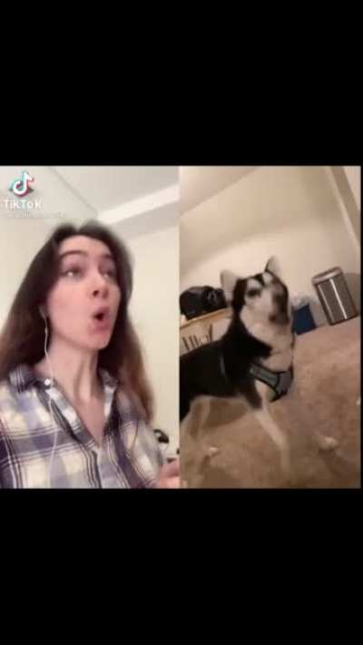 Can we get an &lsquo;awoo&rsquo;? (Supercut)