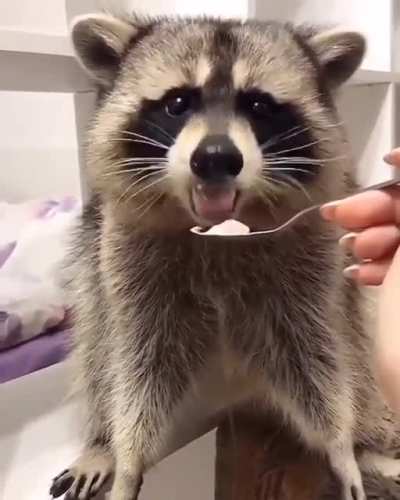 So cute!!