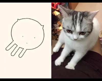 Cat being Cats