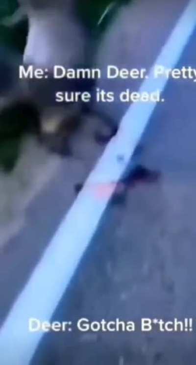 perfectlycutscreams - Video #8209