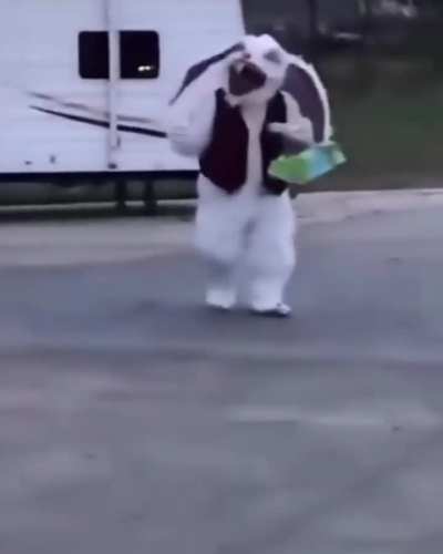 That's not the Easter bunny!!! 