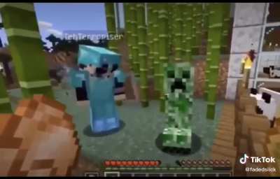 A "friendly" creeper.