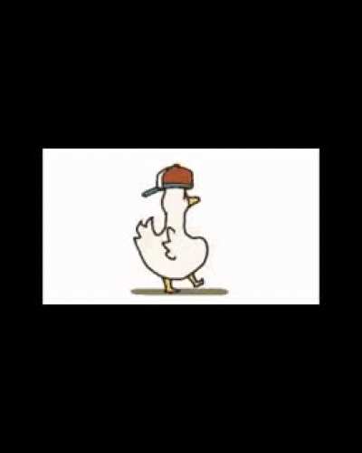 a little duck rtx