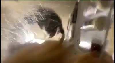 Falling off the fridge