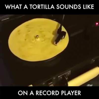 🐢