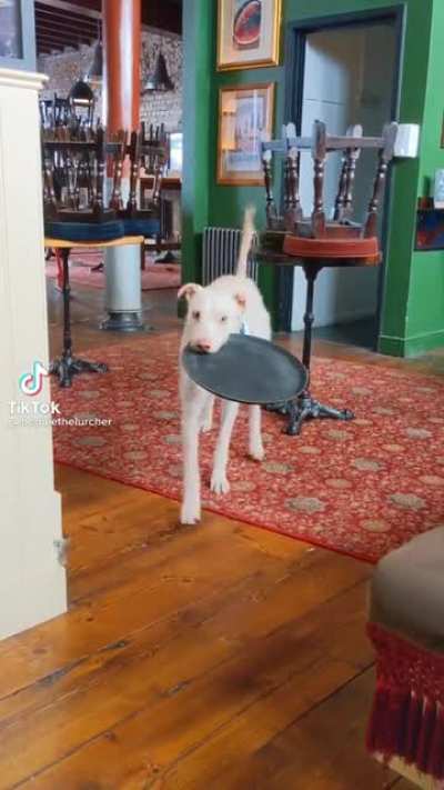 11/10 on that Yelp review for the cute staff.