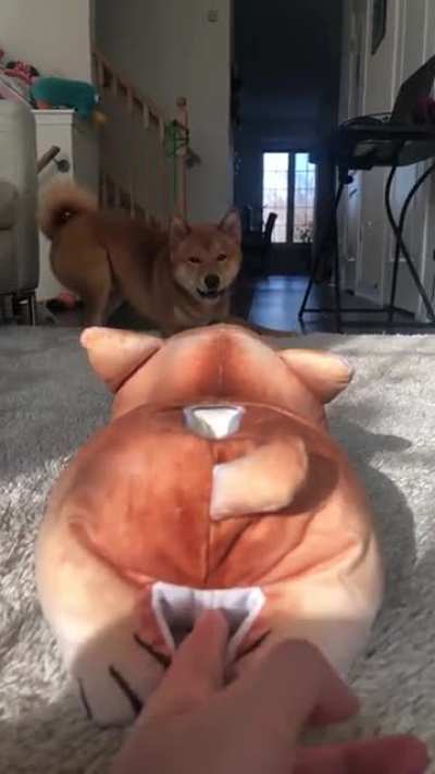 Doppelganger