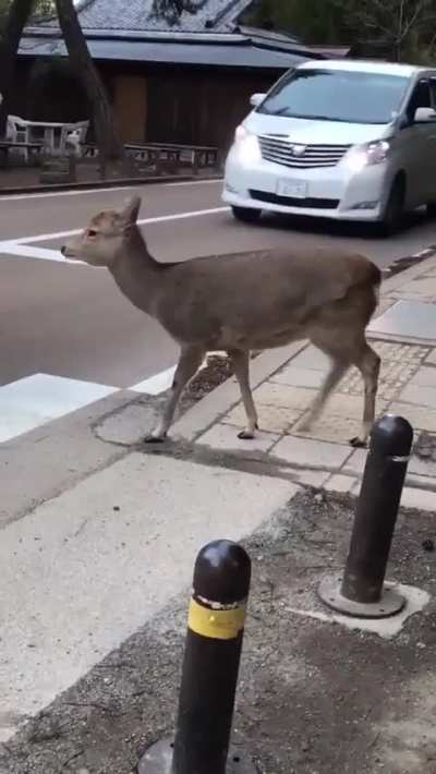 Maybe Maybe Maybe