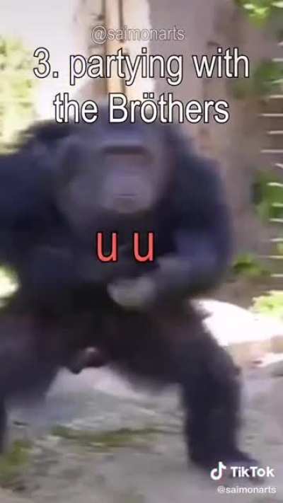 🦍 monkey 🦍