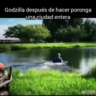 Xd
