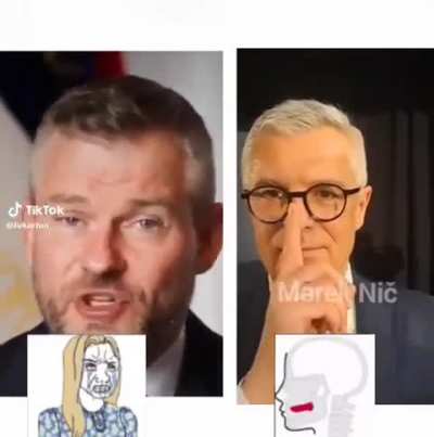 42,5%🗣️🇸🇰